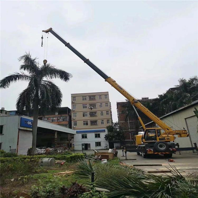 六枝特汽车吊出租多少钱？全面解析与市场行情